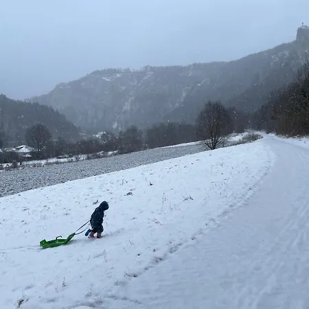 Appartamento Zwergdackeladlerhirsch Beuron Esterno foto