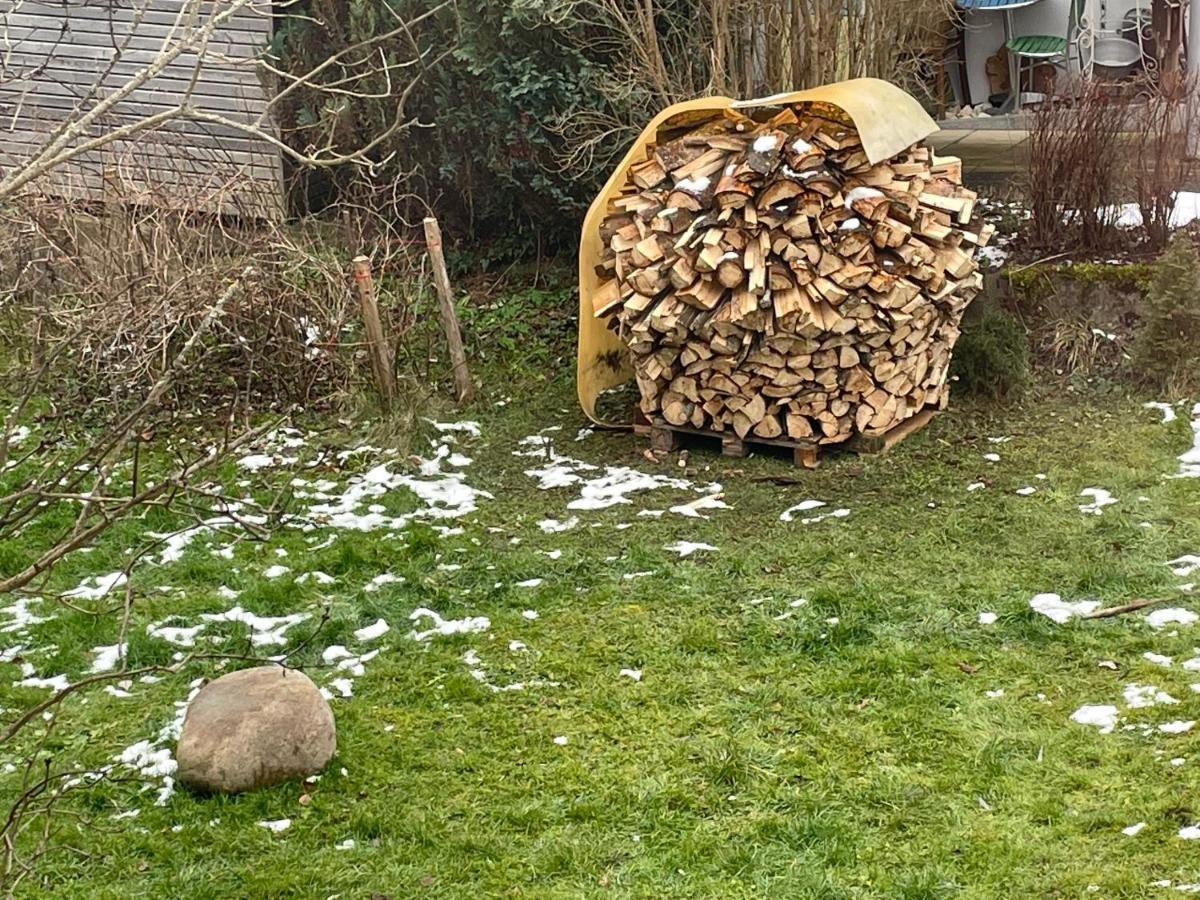 Zwergdackeladlerhirsch * Beuron