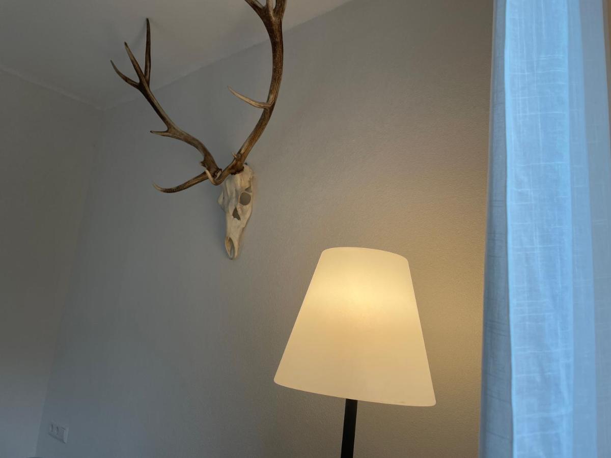 Zwergdackeladlerhirsch