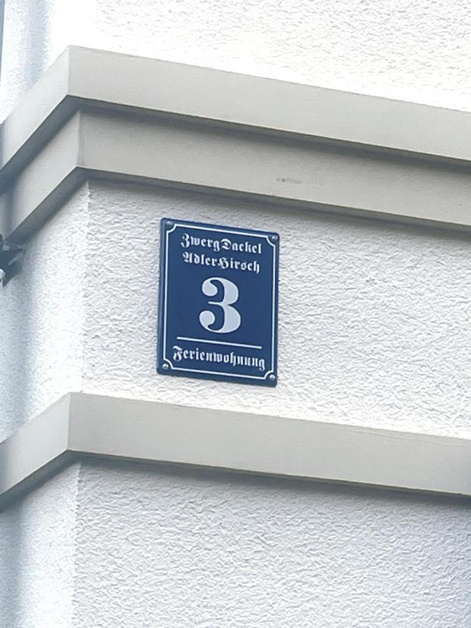Zwergdackeladlerhirsch Apartament