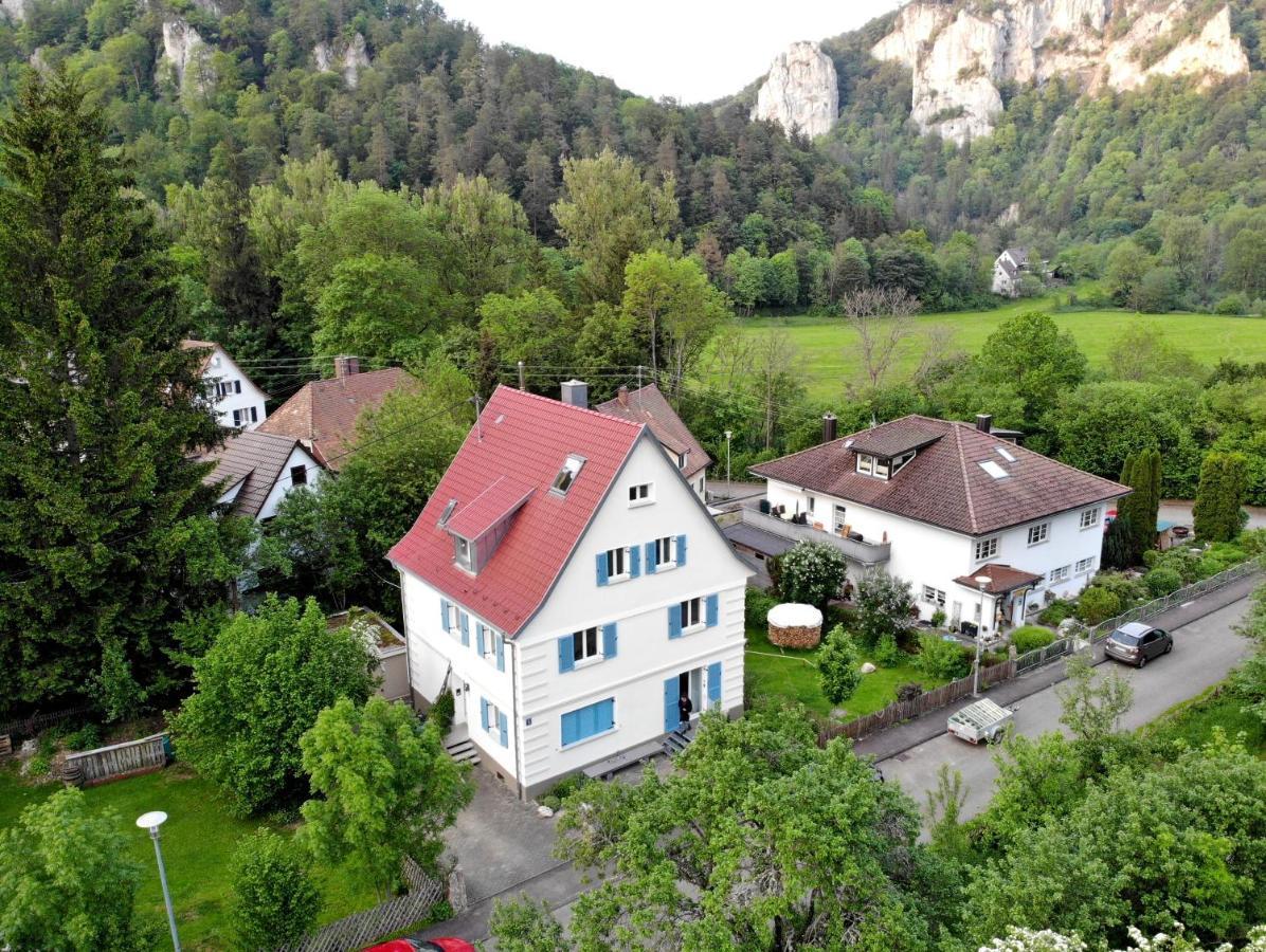 Apartment Zwergdackeladlerhirsch