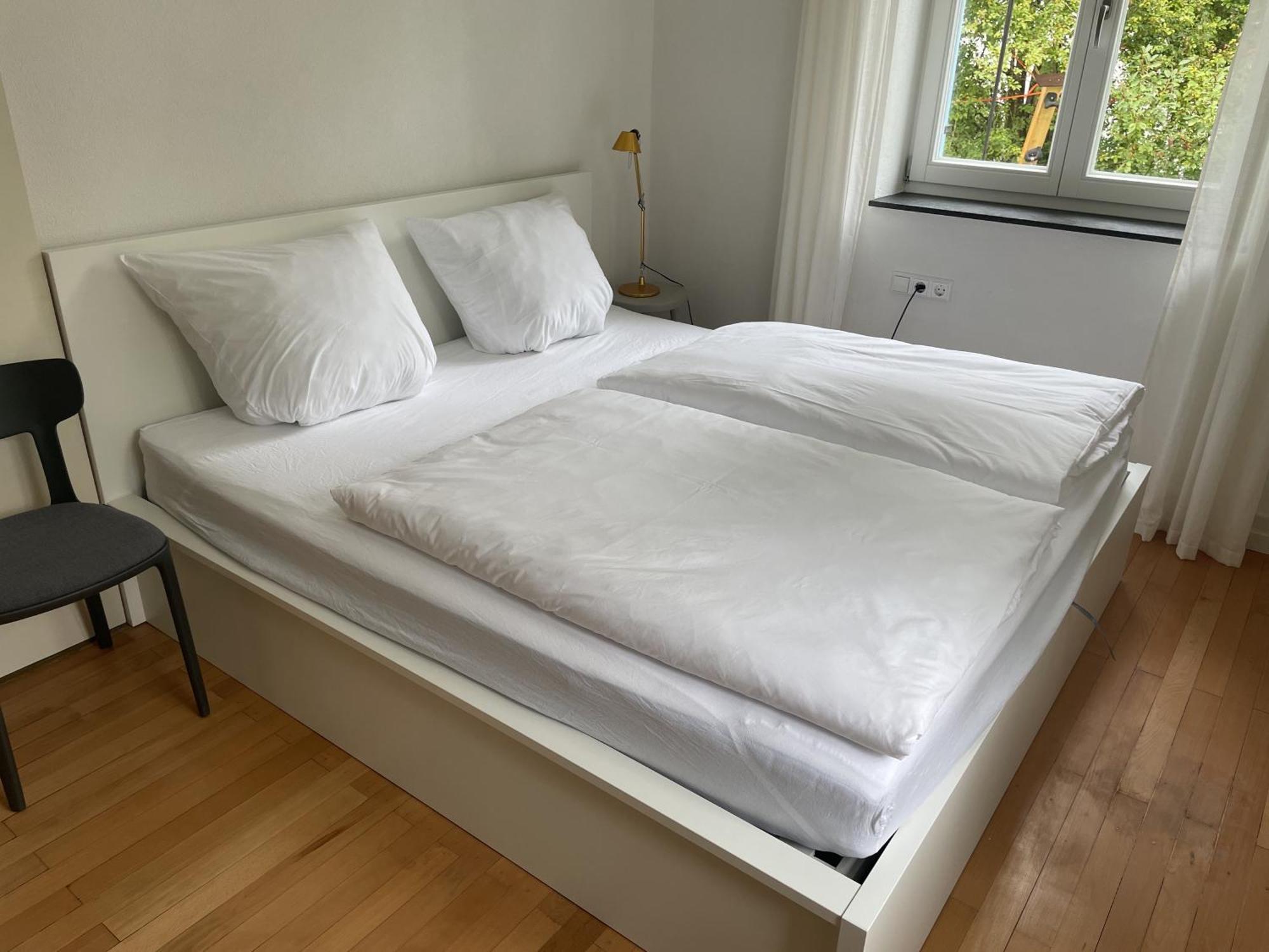 Zwergdackeladlerhirsch Apartment