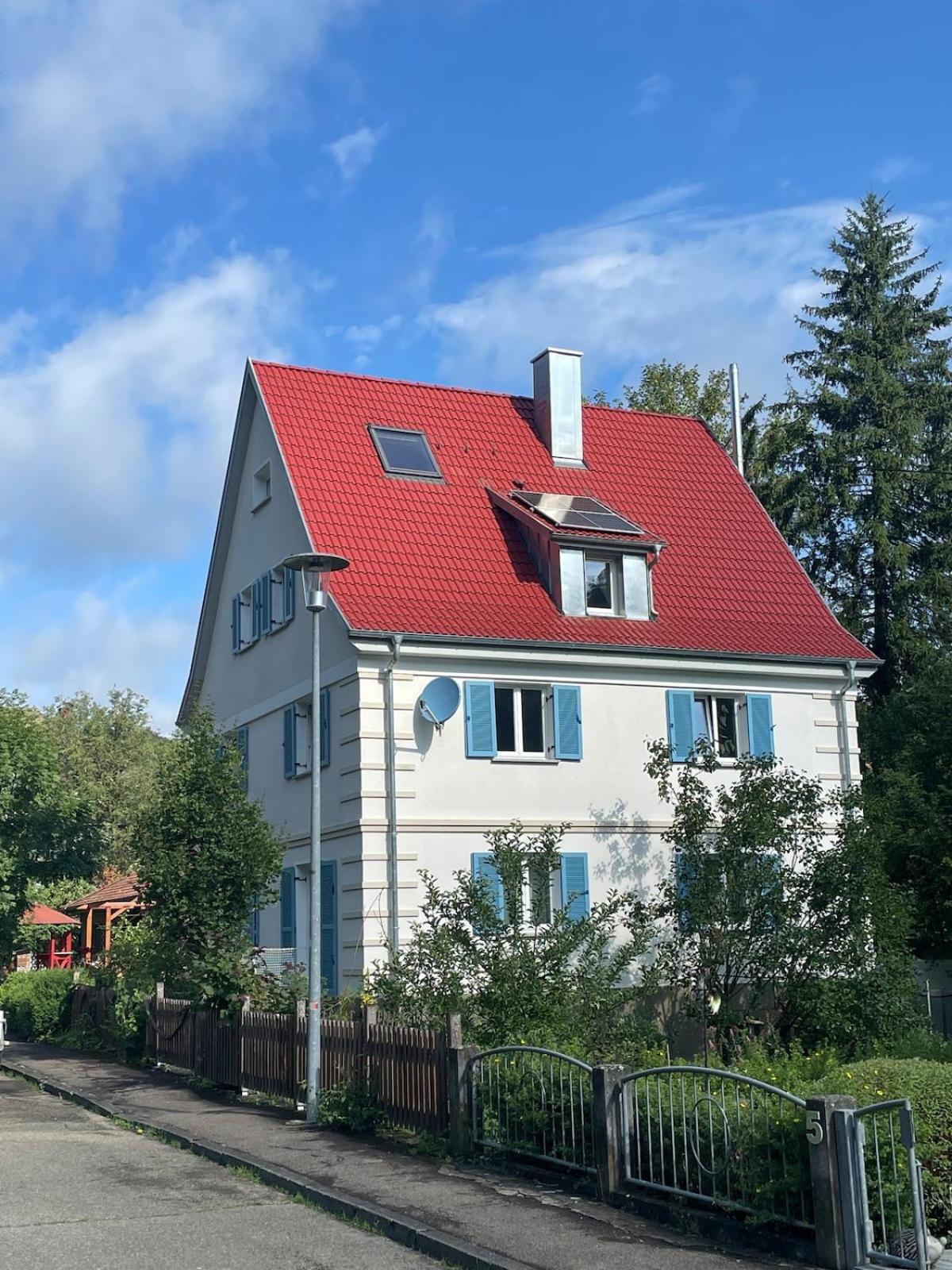 Zwergdackeladlerhirsch
